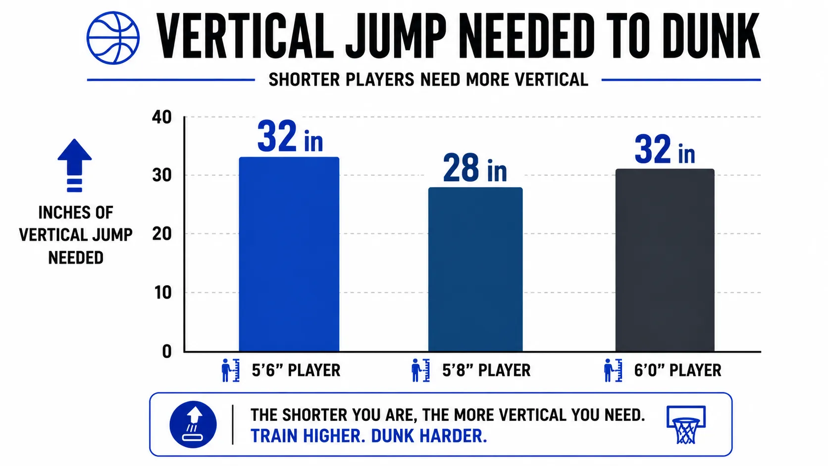 Player height comparison chart on Dunk Calculator.